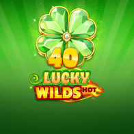 40 Lucky Wilds Hot icon